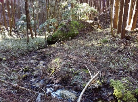 DSC_0056 (640x473)