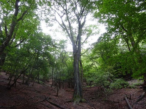 DSC06639