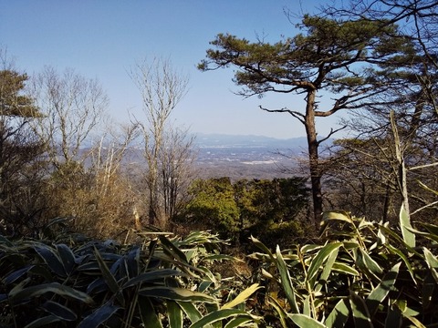DSC_0046 (640x480) (2)