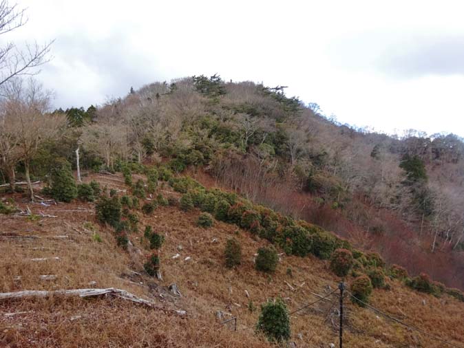 青山舎から
加太越・小笹ノ峰笹オトシ蝙蝠峠ループ/冬至青山Ⅲ
コメント