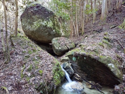 DSC_0080 (640x480)