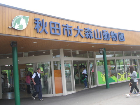 大森山L