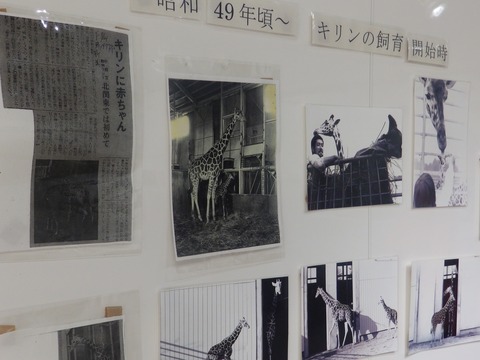 ふぁみとりっぷannex おさんぽpandaの家族おでかけレポート 動物園 水族館 ふぁみとりっぷannex おさんぽpandaの家族おでかけレポート 動物園 水族館
