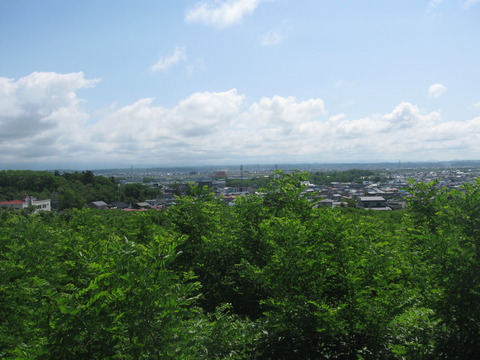 大森山手前の丘から