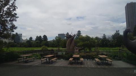 上野動物園02