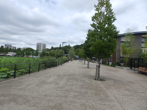 上野動物園1112_3