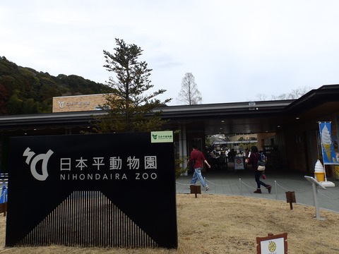 ふぁみとりっぷannex おさんぽpandaの家族おでかけレポート 日本平動物園 静岡県静岡市 ふぁみとりっぷannex おさんぽpandaの家族おでかけレポート 日本平動物園 静岡県静岡市