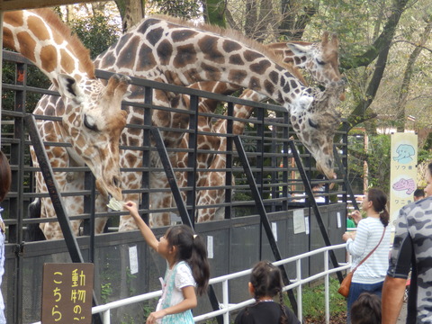 宇都宮動M