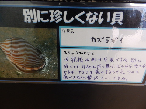 竹島水64