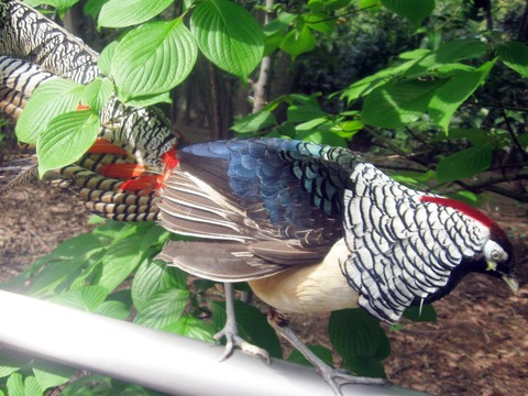 大宮動7