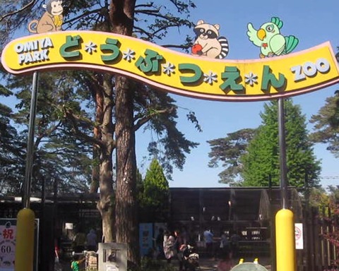 大宮動0