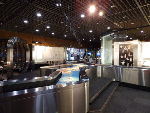 地質標本館1