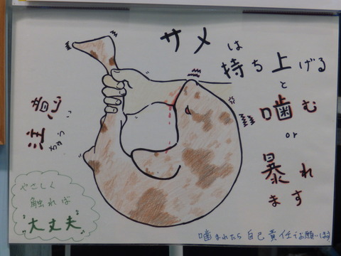 竹島水95