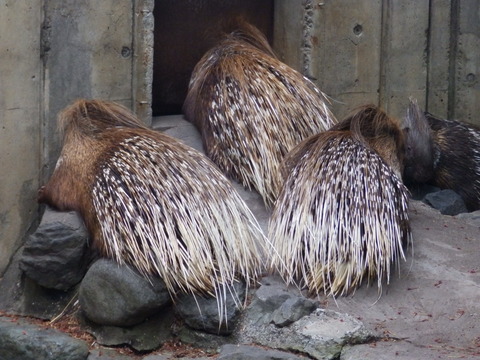 羽村2