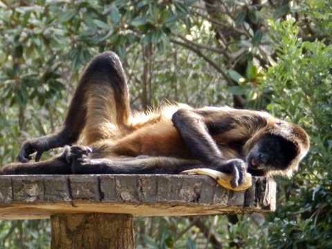浜松市動物園0929-06