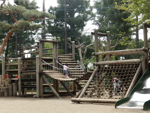 智光山D