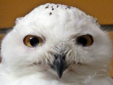 浜松市動物園1010-01