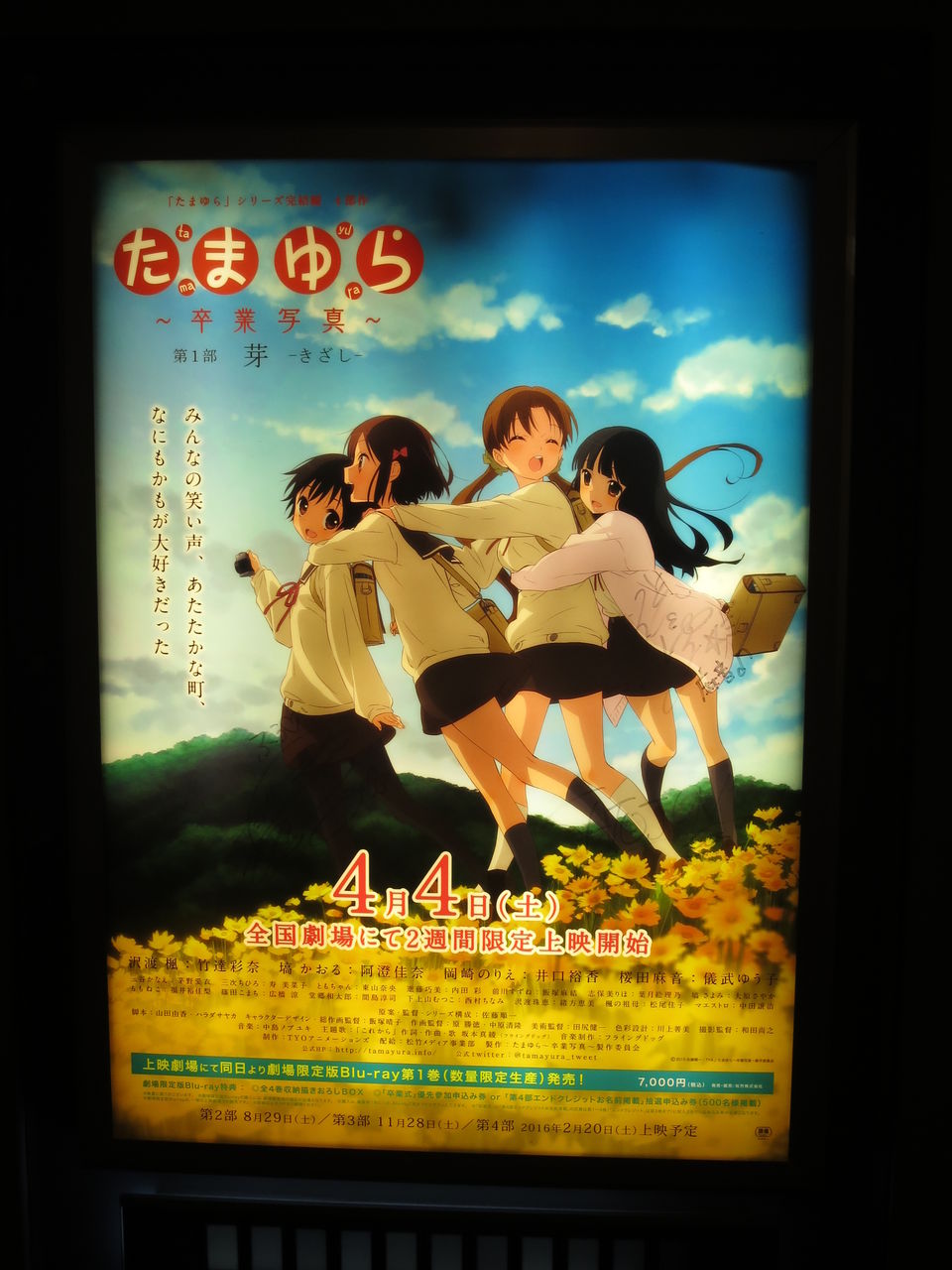 たまゆら 卒業写真 第4部 朝 あした を観てきた 横須賀夜景その2 とある30男の活動日記 たまゆら 卒業写真 第4部 朝 あした を観てきた 横須賀夜景その2 とある30男の活動日記