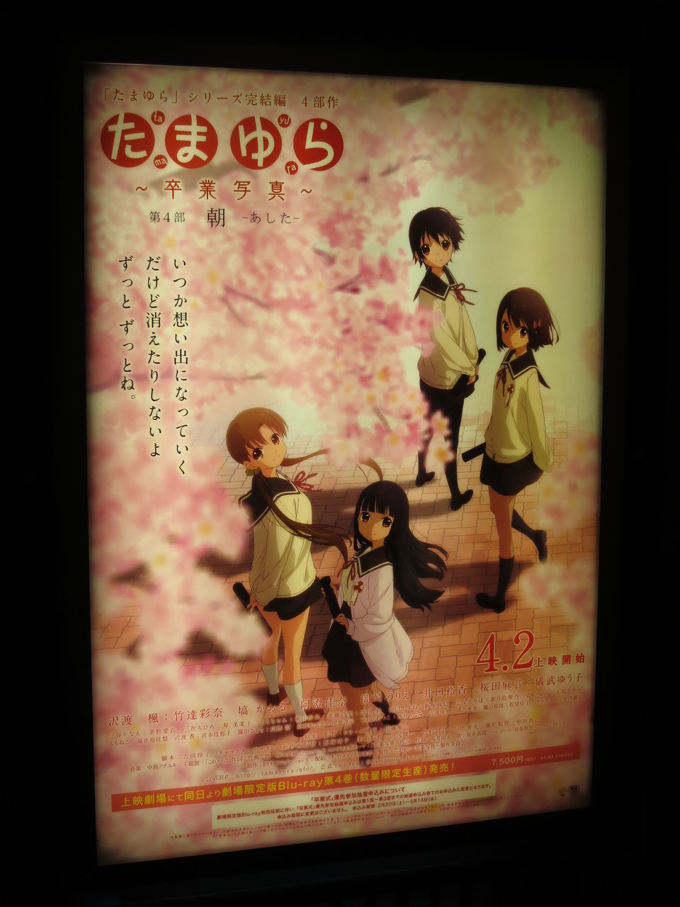 たまゆら 卒業写真 第4部 朝 あした を観てきた 横須賀夜景その2 とある30男の活動日記