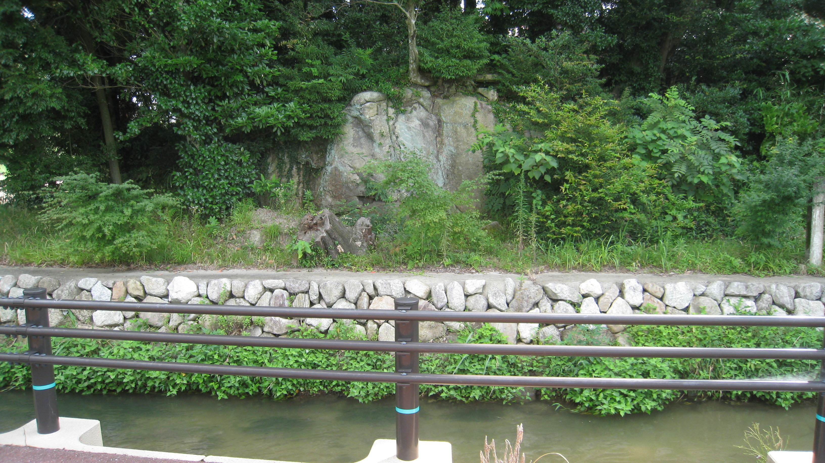 福岡　古代遺跡の旅                blues