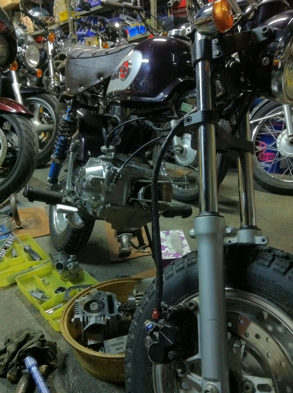 モンキー ゴリラ 進化を振り返る その3 : さーて、どこか行こうかぁ！