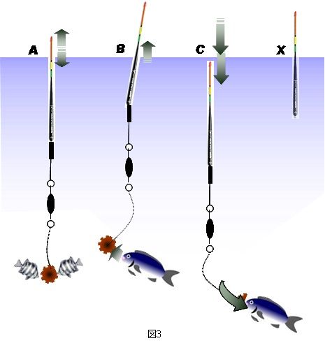 葉山釣事情 ダンゴメジナ釣りの合わせのコツ 坊ちゃん葉山アーカイブス