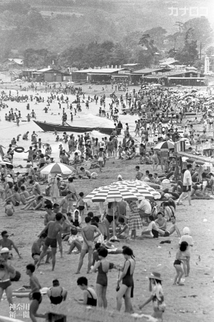 □昭和のよき時代 神奈川新聞が取り上げた60年前の8月／三浦海岸海水