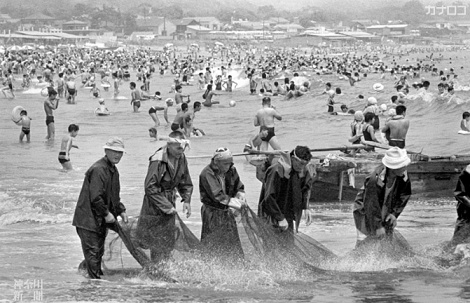 □昭和のよき時代 神奈川新聞が取り上げた60年前の8月／三浦海岸海水