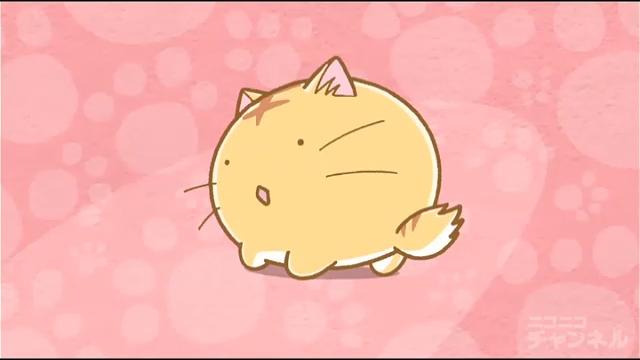 ポヨポヨ観察日記第11話は衝撃的だった アニメ感想 広岡威吹の作家ブログ ポヨポヨ観察日記第11話は衝撃的だった アニメ感想 広岡威吹の作家ブログ