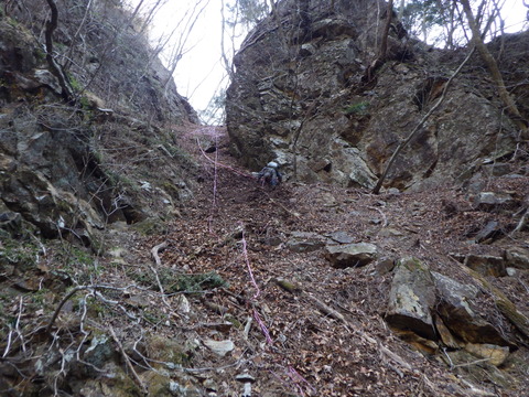 RIMG0895