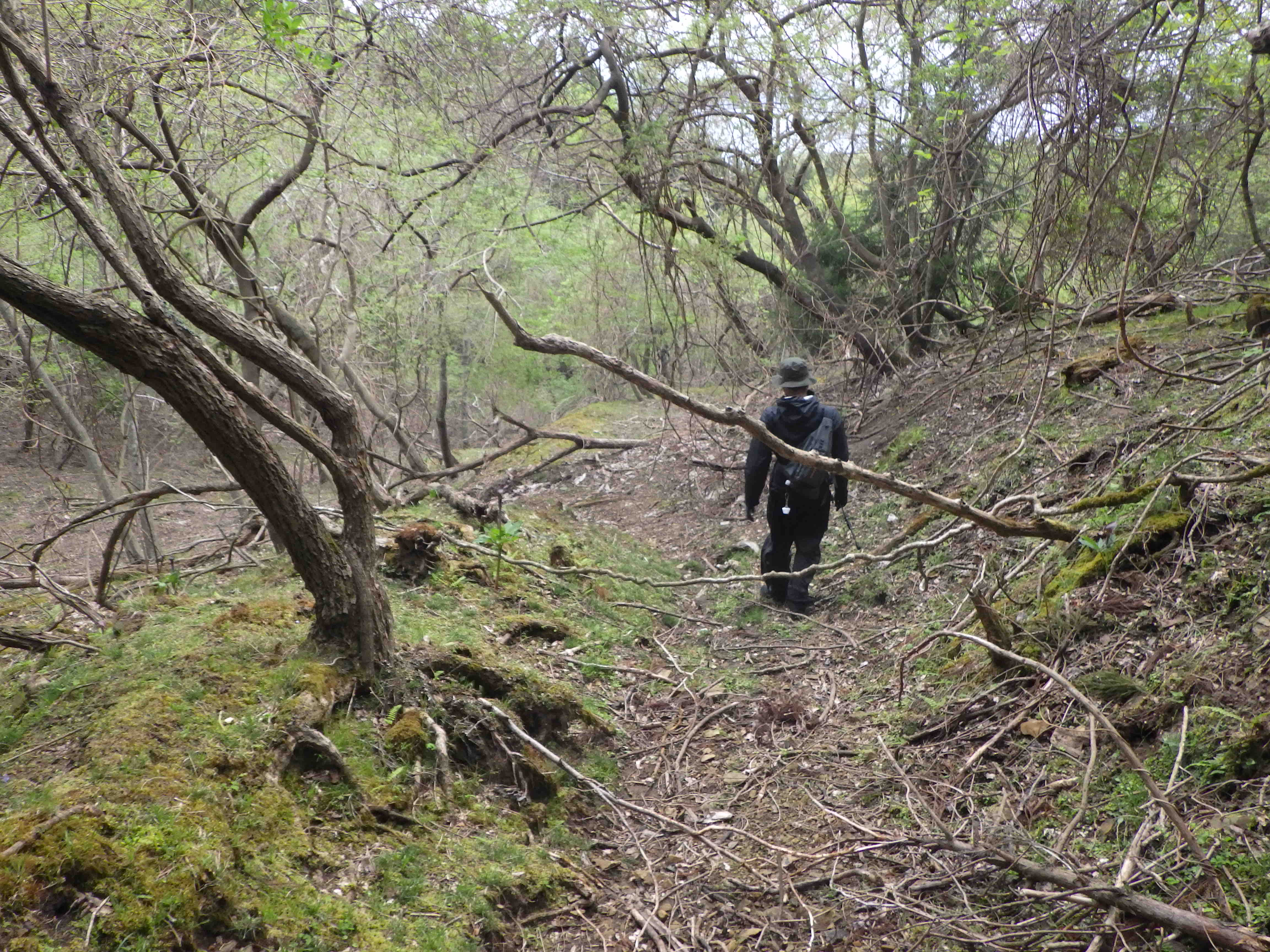 牡鹿半島 アイナメ 磯 Flashback