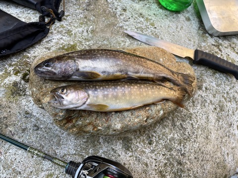 FullSizeRender