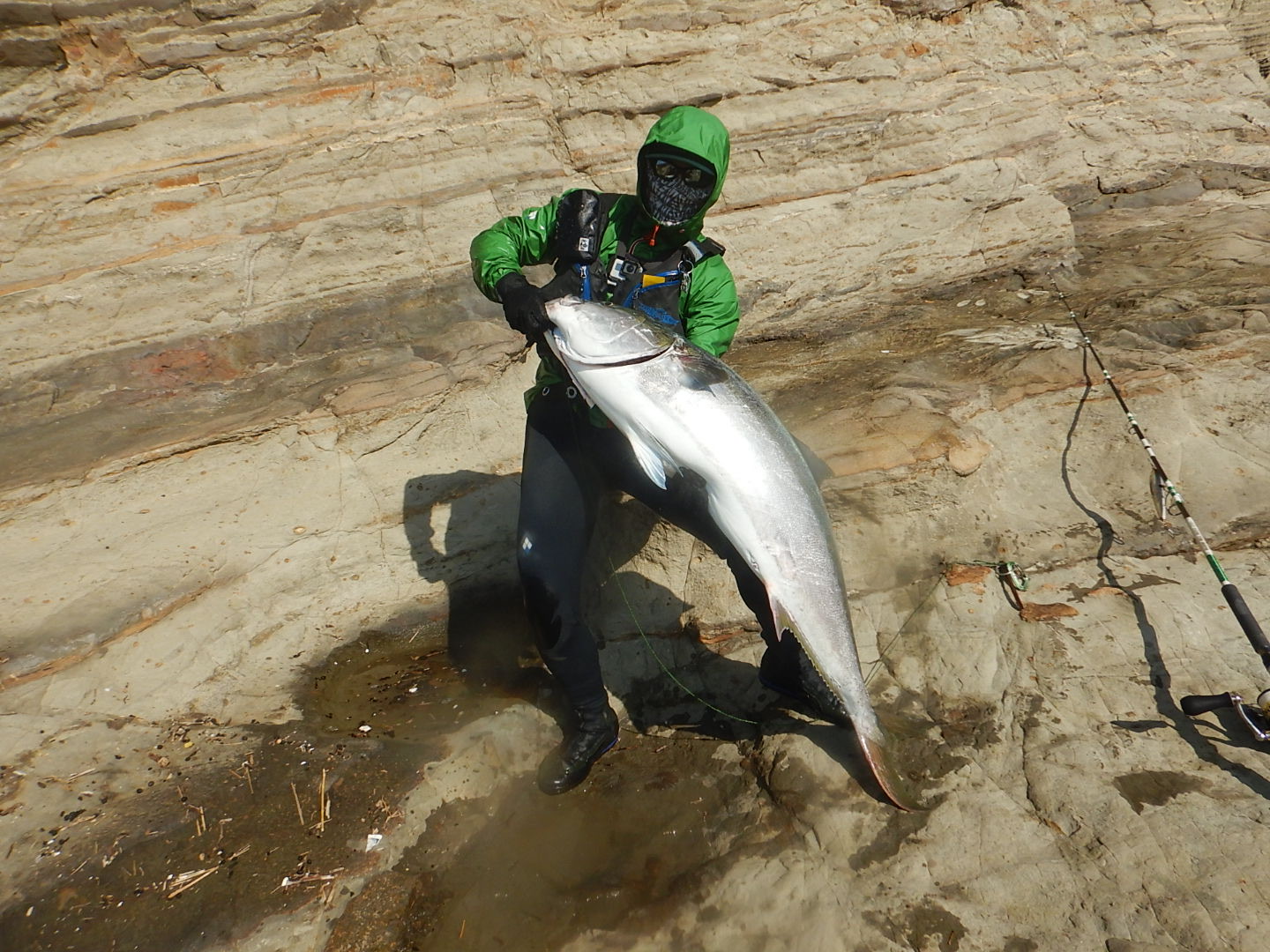 房総半島 ヒラマサ 磯 157cm30 3kg捕獲 Flashback