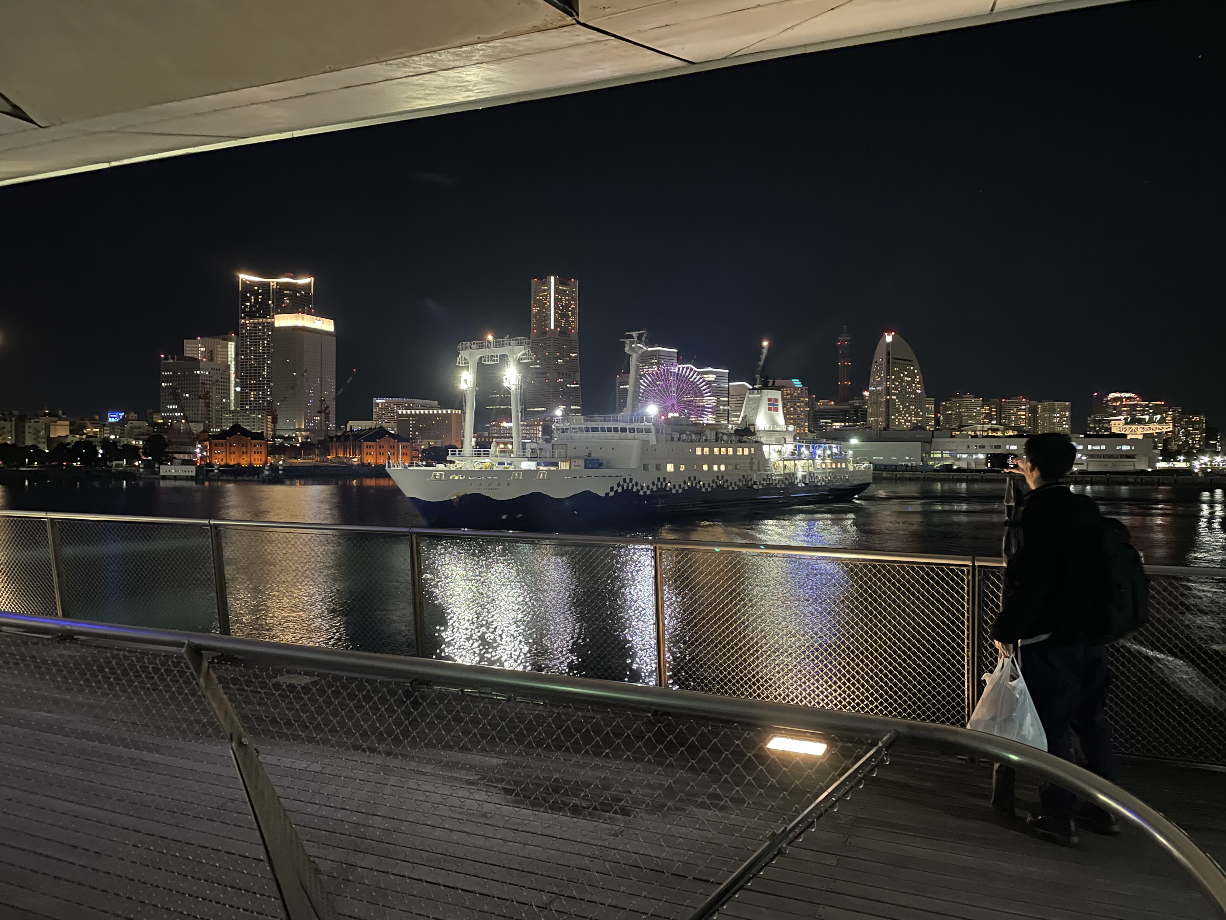 伊豆諸島 タマン ヒラスズキ 磯 Flashback