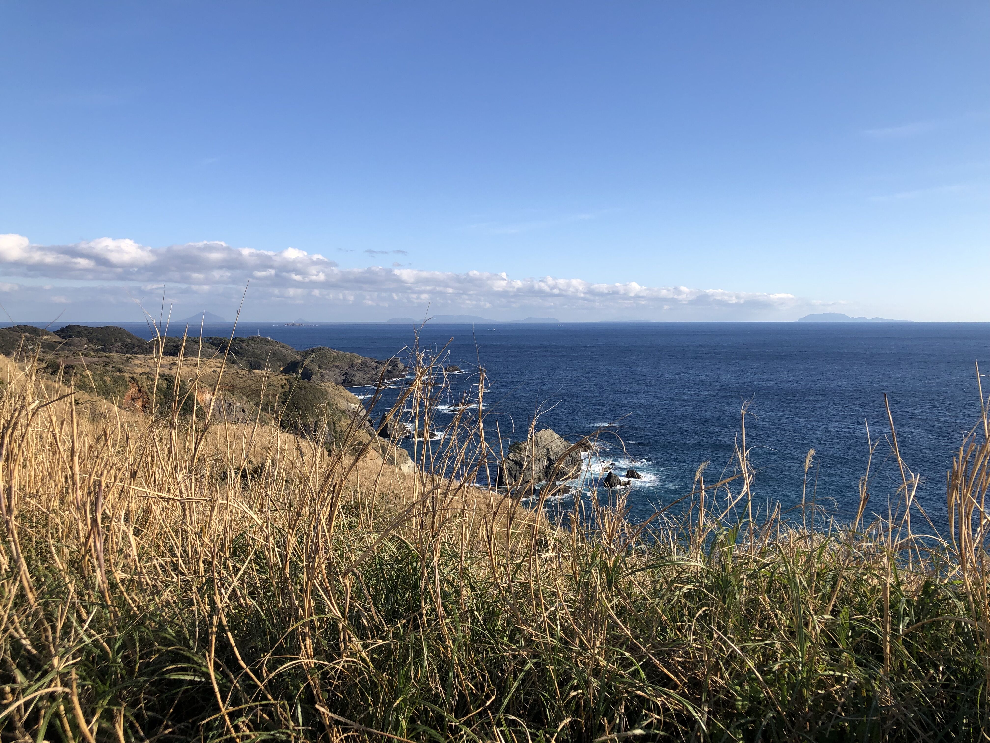 伊豆半島 ヒラスズキ 磯 Flashback 伊豆半島 ヒラスズキ 磯 Flashback