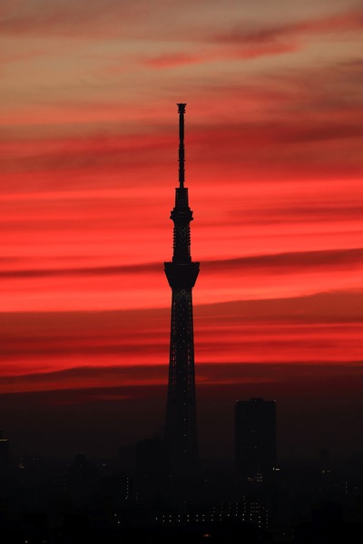 東京スカイツリー夕景