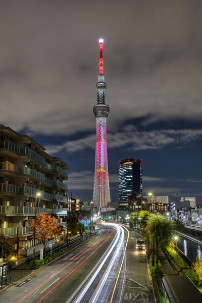 クリスマス特別ライティング「サンタクロース」