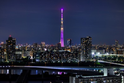 東京スカイツリー夜景「雅」
