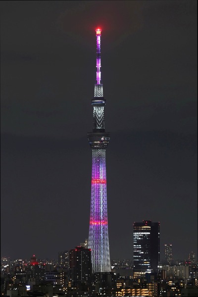 京都サンガF.C.