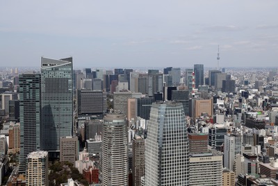 東京タワーから見た東京スカイツリー