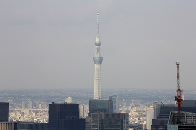 六本木ヒルズから見た東京スカイツリー