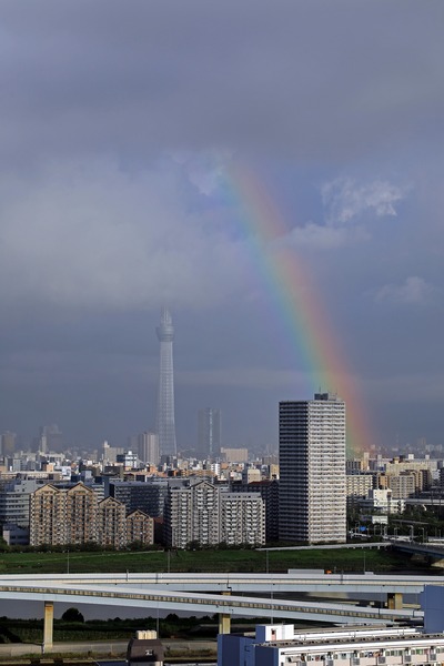 虹と東京スカイツリー
