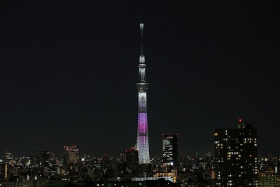 東京スカイツリー夜景「舞」