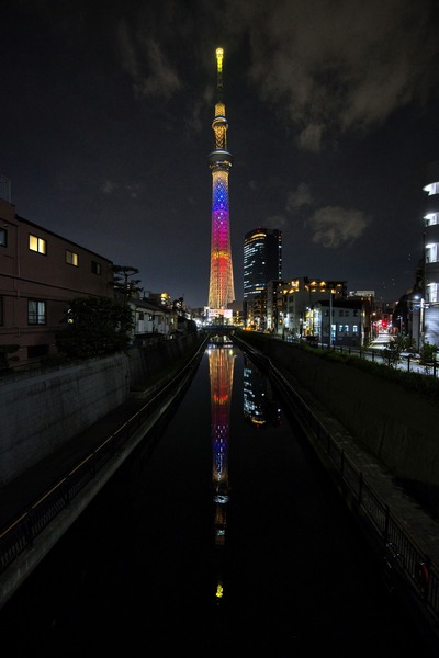 ハロウィン限定ライティング「ムーンライト・ハロウィン」