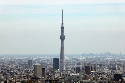 サンシャイン60から見た東京スカイツリー