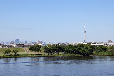 江戸川河川敷から見た東京スカイツリー