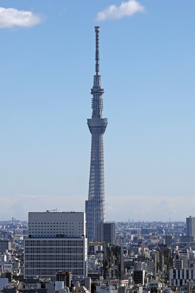 文京シビックセンターから見た東京スカイツリー