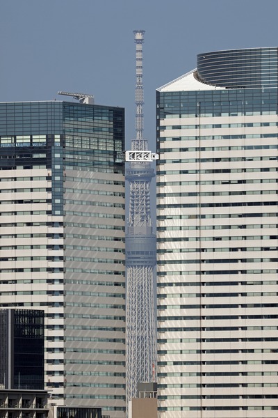 隙間ツリー