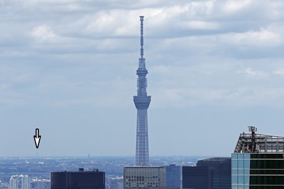 六本木ヒルズから見た東京スカイツリー