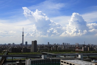 夏の雲と東京スカイツリー